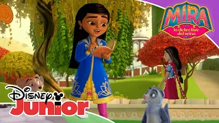 Mira detective real: ¿Jugamos al escondite?  | Disney Junior Oficial