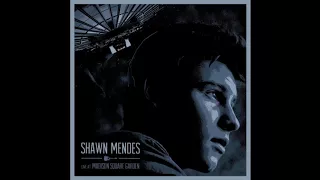 Medley: Never Be Alone / Hey There Delilah (Live) - Shawn Mendes - Live At Madison Square Garden