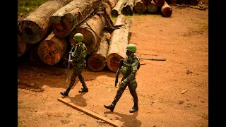 Brazilian military failing to slow Amazon deforestation