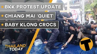 Thailand News Today | BKK protest update | Chiang Mai 'quiet' | Baby klong crocs | October 14