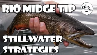 RIO Midge Tip: Strategies for stillwater by Fly Fish Food