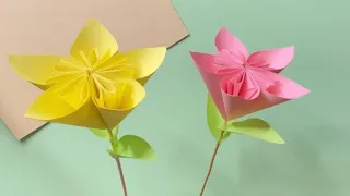 How to make a cute Lilium ‘Casa Blanca flower🥹♥️