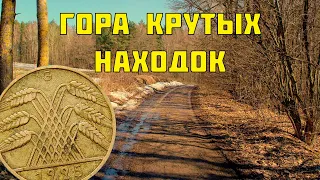 СТОЛЬКО НАХОДОК ЕЩЕ НЕ ПРИВОЗИЛ С КОПА|КОП В КАЛИНИНГРАДСКОЙ ОБЛАСТИ|Metal detecting