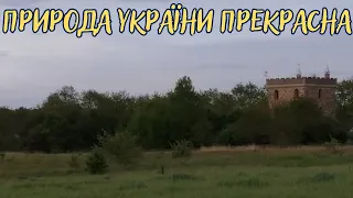 Дачні ділянки в травні. Природа України прекрасна.