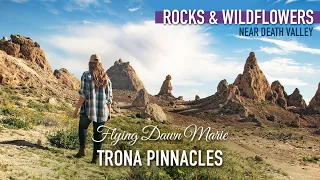 240: Trona Pinnacles - Otherworldly Stop Near DEATH VALLEY National Park (DESERT WILDFLOWERS)