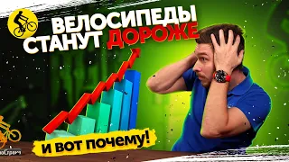 Главная проблема покупки велосипеда в 2022. Почему велосипеды дорогие?