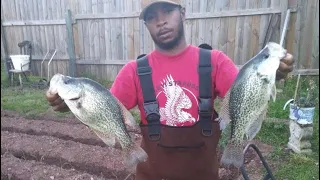 Crappie | Shell Crappie | Catch Clean and Cook | Fish Tacos | Home made Salsa