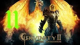 Divinity II Кровь драконов часть 11 (Наемные убийцы Муада и Наберий Цербер)