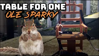 Squirrel Hunting at the Table for One (Ole Sparky!)