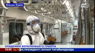 Число заразившихся вирусом MERS достигло 108 человек