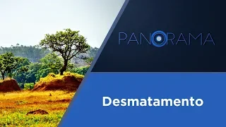 Panorama | O Cerrado brasileiro pede socorro | 15/05/2018