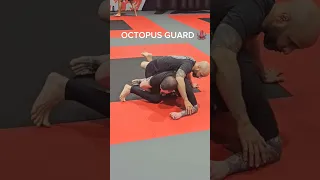 hip bump sweep from octopus guard 🐙 #octopusguard #bjj #sweep