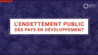 L'endettement public des pays en développement avec Maxime Terrieux