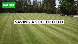Saving a Soccer Field (Dol Turf)