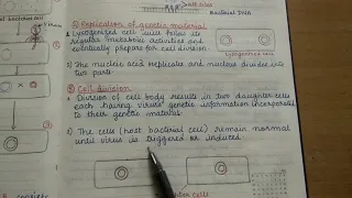 Lysogenic cycle