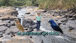 as aventuras  do Seu chico  , cada lugar lindo  vejam so