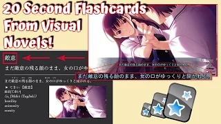 Making EXTREMELY Fast Flashcards With Visual Novels for Japanese