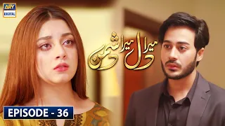 Mera Dil Mera Dushman Episode 36 | Alizey Shah | ARY Digital Drama