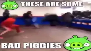 bad piggies memes 8