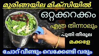 മുരിങ്ങയില മിക്സിയിൽ ഒറ്റക്കറക്കം എത്ര തിന്നാലും പൂതി തീരൂല മക്കളെ വീണ്ടും ചോറ് വെക്കേണ്ടി വരും