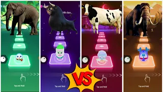 Funny Elephant🆚Funny Ferdinand🆚Funny Cow🆚Funny Mammoth💫Lets See Who is best?🎶👍#coffindance