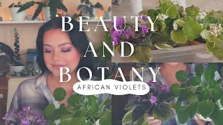 Beauty and Botany | African Violets| Diaries of a Farmhouse