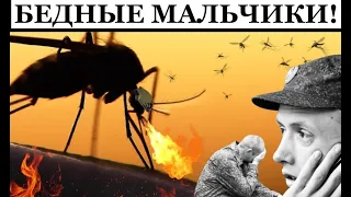 Боевые комары, специально обученные птицы, опасные летучие мыши: что вы там курите, русские?