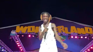 Seyi vibez full performance at his billion dollar baby concert