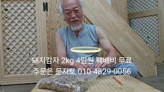 #돼지감자##길수가 이모님께 드리는 용돈