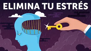 Cómo eliminar tu ESTRÉS instantáneamente | 2 formas de cambiar el modo por defecto de tu cerebro