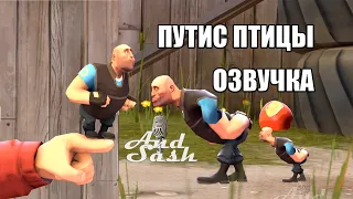 Путис Птицы #озвучка #sfm #tf2 #анимация #дубляж #рек