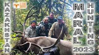 Maral hunting in Kazakhstan 2023