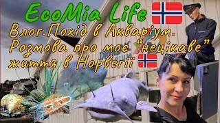 Влог.Розмова про моє "нецікаве" життя в Норвегії. Похід в Акваріум в Дрьобаку./вересень6/EcoMia Life