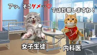 内科検診のときの女子の本音が想像以上にヤバすぎる...【猫ミーム】【猫マニ】