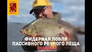 Фидерная ловля пассивного речного леща