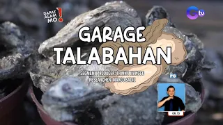 Bulto-bultong talaba, mabibili na sa isang garahe sa Bacolod City! | Dapat Alam Mo!