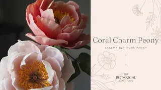 Coral Charm Peony Sugar Flower Tutorial (Gumpaste / Flower Paste): Assembling Your Peony