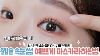 cc) Really pretty way to wear mascara on short eyelashesㅣStyling tip without fake eyelashesㅣARANG