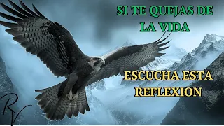 ¿Alguna vez te has sentido insatisfecho con tu vida ¿Has deseado ser otra persona?...