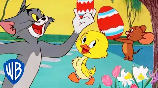 Tom i Jerry po polsku | Wielkanocne eskapady z Kaczorkiem 🐣 | WB Kids