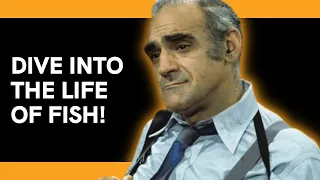 The Sad Story of Fish from Barney Miller Abe Vigoda