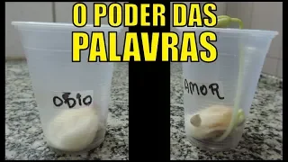 O Poder da MENTE e das PALAVRAS - EXPERIÊNCIA REAL