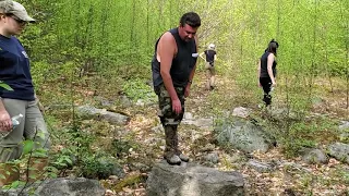 Timber Rattlesnake Behavior