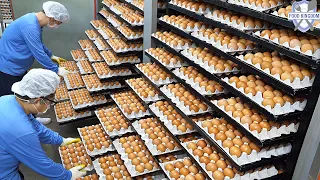 Overwhelming sight!Jeju Island Food Factory Best 3 (Egg, Pork, Cheese) /Korean Food Factory