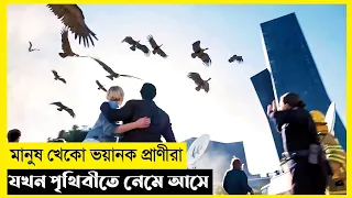 The Animal Kingdom Movie Explain In Bangla|Survival|Thriller|The World Of Keya