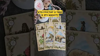 Кто грустит о тебе в эту минуту?