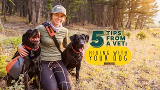 Hiking with Dogs: 5 Tips from a Vet