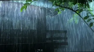 雨の音 ASMR 自然環境音 疲労回復 睡眠用BGM