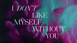 Noah Sonnen - I Don't Like Myself Without You (Visualizer)