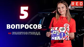 Выучи эти 5 Вопросов! Их Должен Знать Каждый водитель